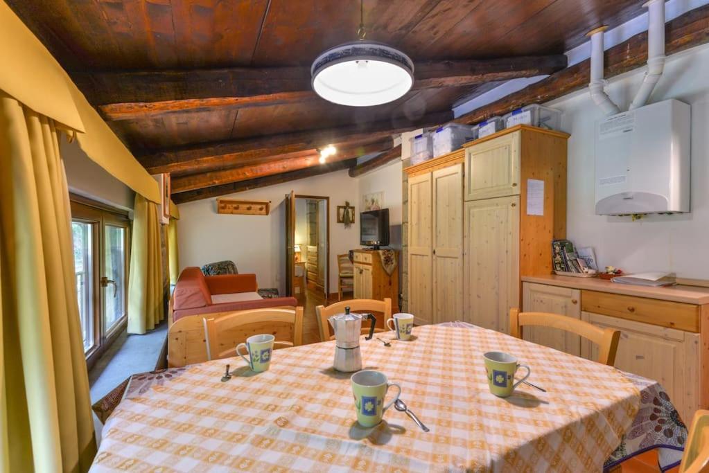 38-Volpini House In Amiata - Val D'Orcia, Saturnia, Feste&Sagre Castel del Piano  Eksteriør bilde