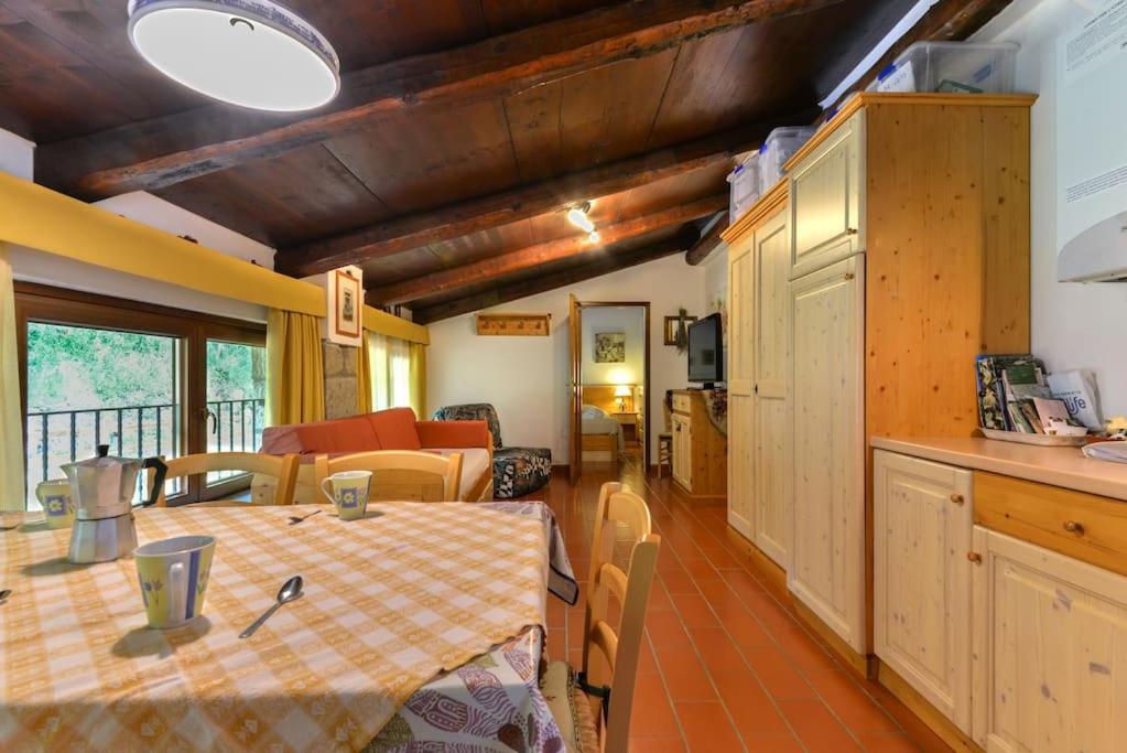 38-Volpini House In Amiata - Val D'Orcia, Saturnia, Feste&Sagre Castel del Piano  Eksteriør bilde
